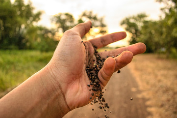 Nature Around You Edit With Grainy HDR Effect