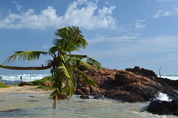 Fototapeta na wymiar Sri Lanka, beach, ocean, sea, sun, holiday, sky, water