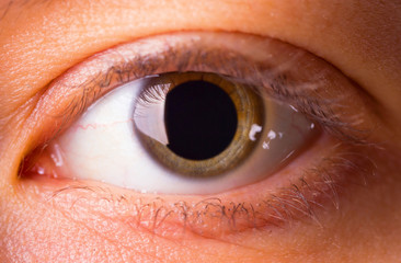 A young woman's eye - close up
