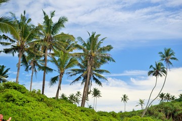 Fototapeta na wymiar Sri Lanka, beach, ocean, sea, sun, holiday, sky, water