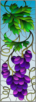 The illustration in stained glass style painting with a bunch of red grapes and leaves on a sky  background,vertical image