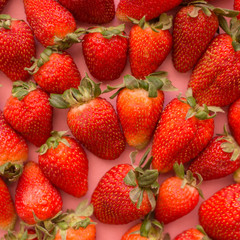 background from freshly harvested strawberries, directly above, pink background