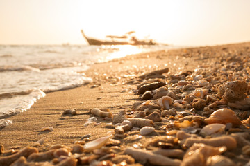 Sea shells and coral fragments sea debris on golden beach morning sunlight with sparkle sand and sea bokeh and silhouette fishing boat blurred background.
