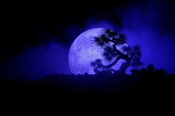 Fototapeta na wymiar Silhouette Tree on full moon background. Full moon rising above japanese style tree against toned foggy sky.