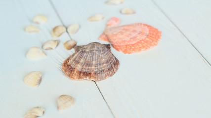 straw hat and seashells on wooden background.photo with place for text