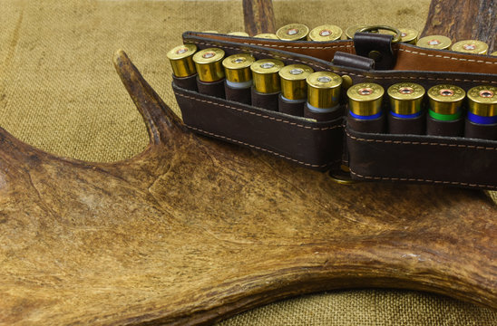 The cartridge belt with cartridges lies on the elk's horns. On the table is a sack cloth.