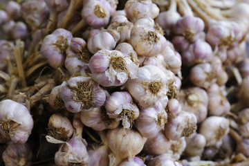 Group of dried garlic