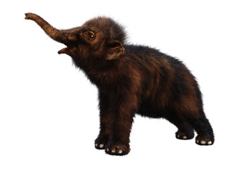 Fototapeta premium 3D Rendering Baby Woolly Mammoth on White