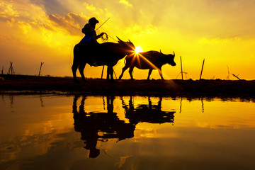Silhouette sunset with lifestyle countryside,Silhouette Animal husbandry in countryside,Farmer with animal dark tone