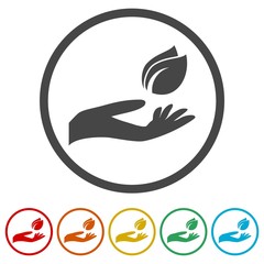 Leaf in hand icon, Leaf on the hand, 6 Colors Included