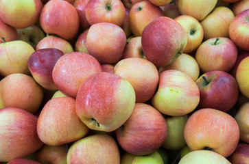 Red and green apples at the farmers market. red and green apples on the market