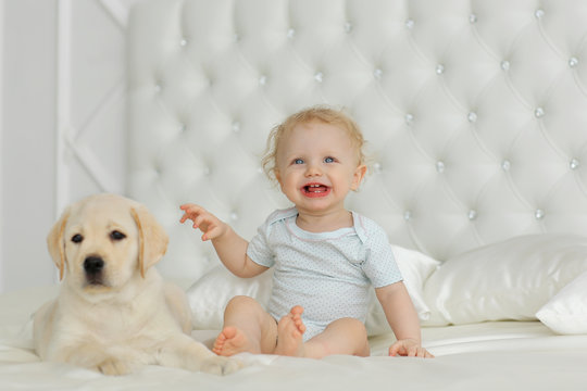 Baby girl with labrador puppy