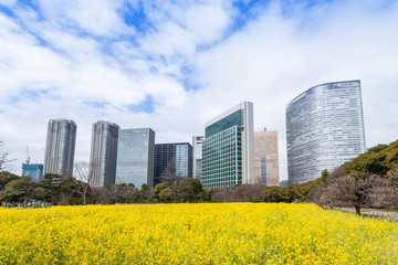 Obraz premium 浜離宮恩賜庭園