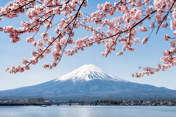 Poster Roze kersenbloesem in het voorjaar op de berg Fuji in Kawaguchiko, Japan © eyetronic