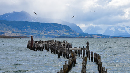 The Old Pier (Muelle Historico) in Almirante Montt Gulf in Patagonia - Puerto Natales, Magallanes...