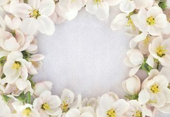 Naklejka na ściany i meble Spring blossom/springtime cherry bloom, toned, bokeh flower background, pastel and soft floral card, toned