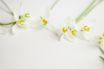 Fototapeta na wymiar Romantischer Blumenrahmen mit Schneeglöckchen auf hellem Hintergrund