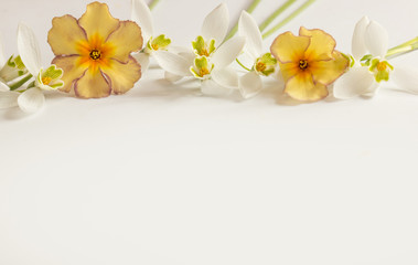 Fototapeta na wymiar Romantischer Blumenrahmen mit Schneeglöckchen und Primeln auf hellem Hintergrund