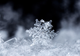 snowflake on snow, snow