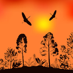 Fototapeta na wymiar Vector illustration of wildlife. The background from the evening sky, trees and flying birds.