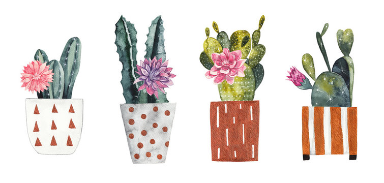 Watercolor cacti in decorative flower pots on white isolated background