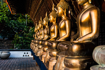 Lord Buddha Statues