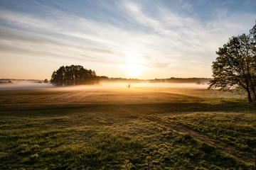 Neißewiesen Görlitz