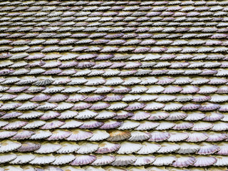 texture detail of  facade chapel covered of scallop shells on Toja Island, Galicia, Spain.