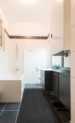 Luxury Bathroom Interior