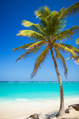 Naklejka na ściany i meble Tropical beach. Ocean and palmtrees background. White sand and crystal-blue sea. Ocean water nature, beach relax. Summer sea vacation. Caribbean beach background
