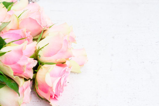 Pink rose flowers