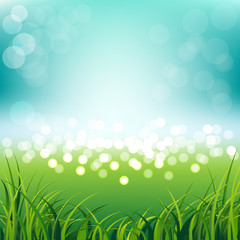 Blue sky with fresh spring grass background