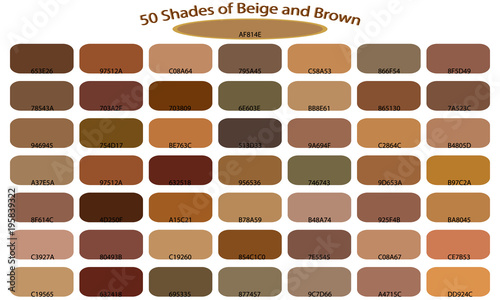 Shades Of Brown Color Isolated On White Background Tones And Shades Of Brown Color Isolated On White Background Tones And Backgrounds With Codes Vector Ilration Palette