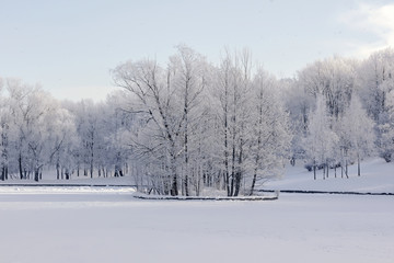 Winter landscape in Russia, light snow covered the frozen trees and the lake on the small island