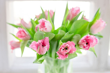 Pink tulips in a glass vase