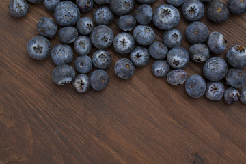 blueberry closeup