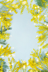 Yellow mimosa flower frame. Spring card for Mothers day or Easter.