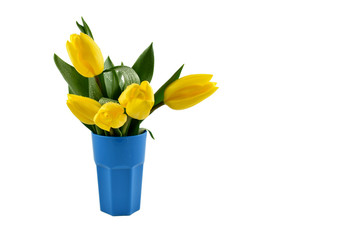 Yellow tulips in blue vase stock images. Yellow tulips on white background. Spring floral decoration. Spring background concept. Yellow tulips bouquet in vase