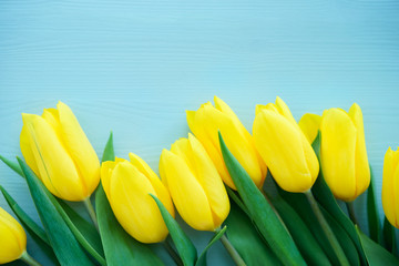 yellow tulips on blue textured wooden background, close-up, top view, space for copy