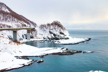 冬の北海道神恵内村の海 © nitalimo