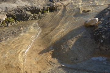 Zoom on a rock one day after the rain