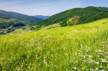 grassy meadow on a hillside. beautiful countryside with village down in the valley. lovely bright summer day