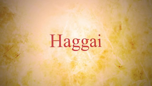 Books of the old testament in the bible series - Haggai