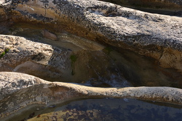 Zoom on a rock one day after the rain