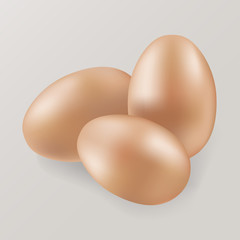 Vector 3d illustration of a realistic chicken eggs.