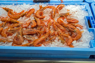 Prawns on Ice at the market