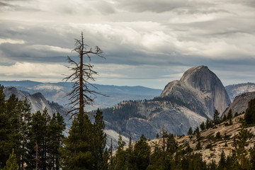 A father with baby son visit Yosemite National Park in Californai, USA