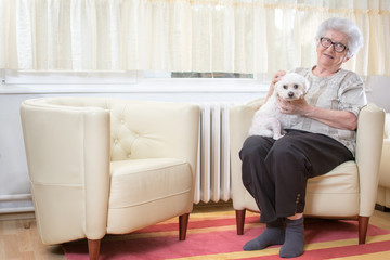 Elderly woman patting small Maltese dog while relaxing on armchair at home.