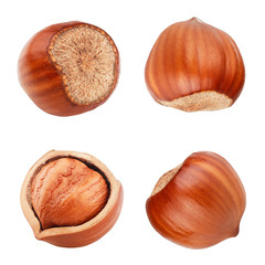 Hazelnut isolated on white background as package design elements.