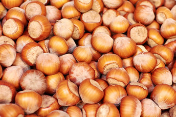 Hazelnut. Fresh organic filbert. Nuts macro. Food background.